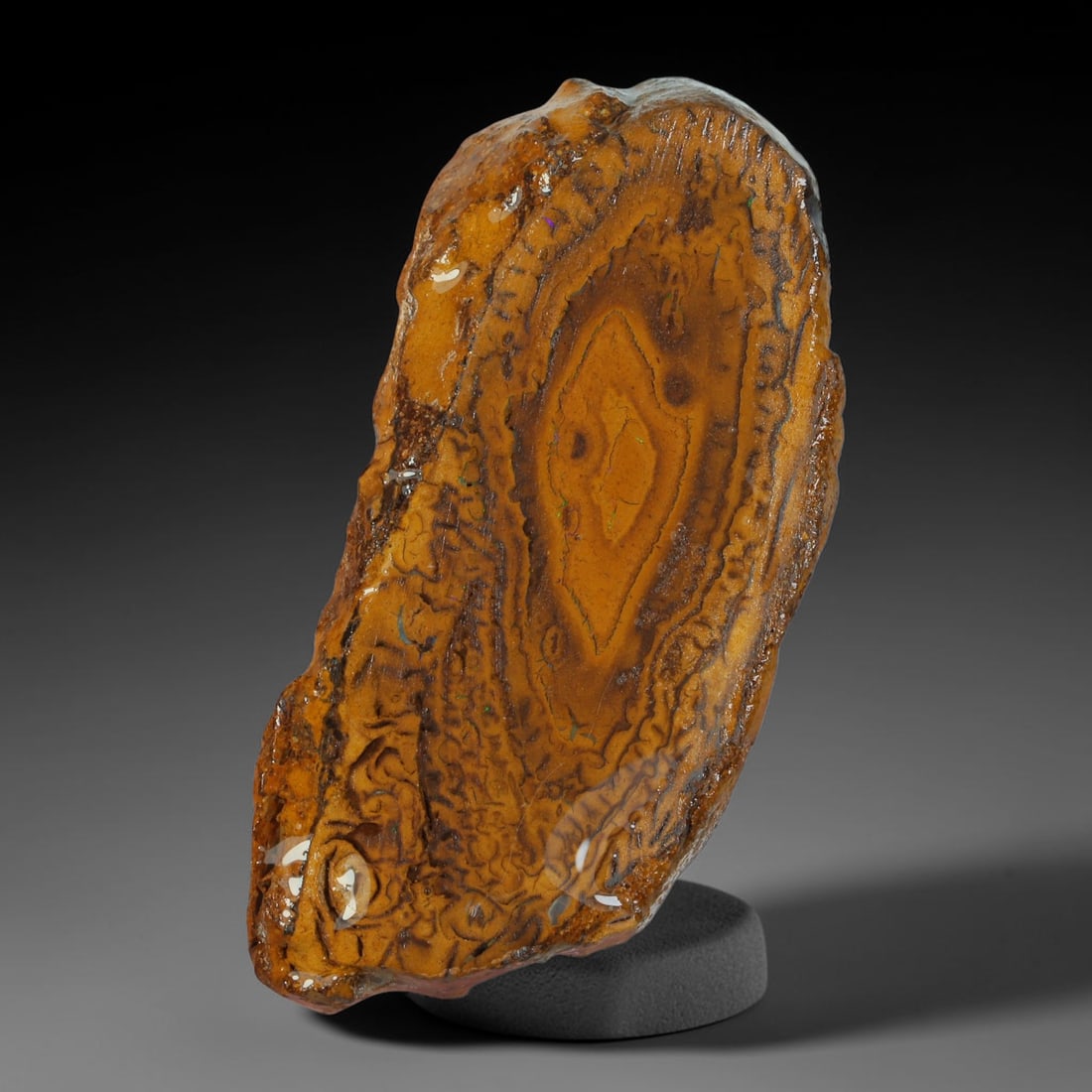 34.42ct Natural Australian Queensland Boulder Opal Sliced Slab Cutting Rough, 43AY: Natural sliced slab rough of Queensland boulder opal cutting grade, featuring rich color ironstone matrix with patterns. The face clearly reveals extensive opal veining and pocket formations running t