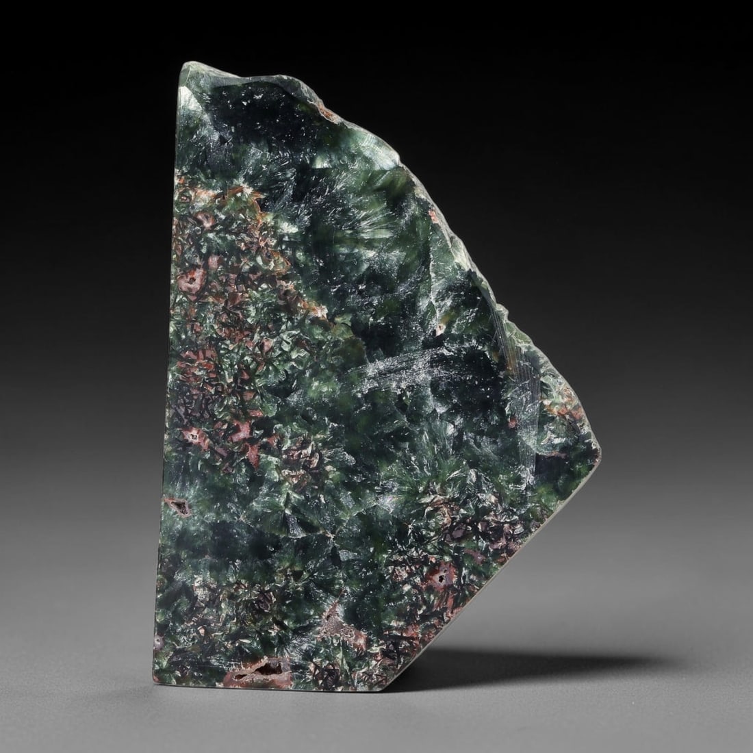 120ct Natural Siberian Seraphinite Polished Rough Slab, 49AR: This polished mineral slab is natural seraphinite originating from Siberian deposits, displaying characteristic radiating crystalline fibrous formations with layered deep forest and silvery green band