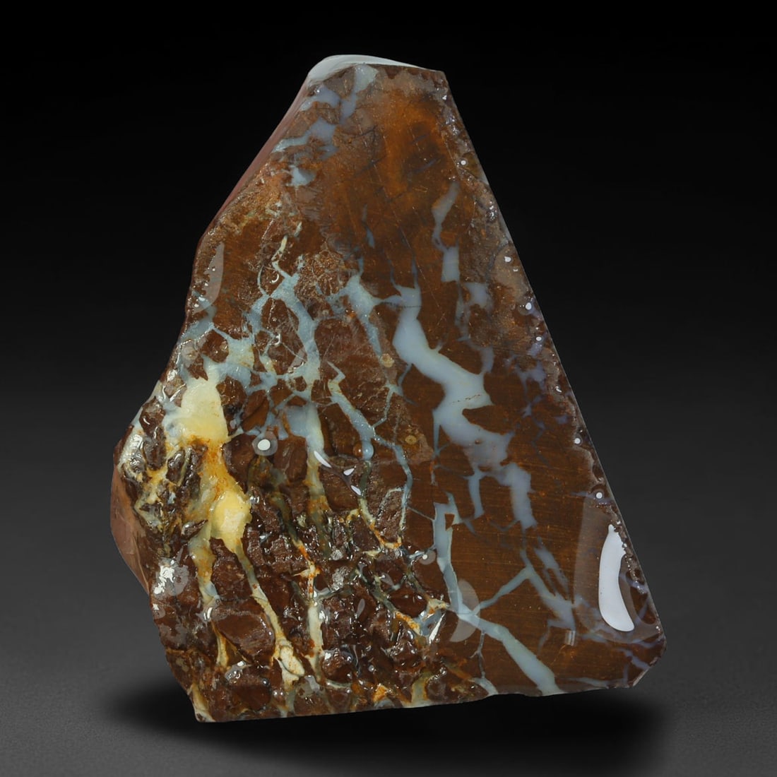 39.87ct Natural Australian Queensland Boulder Opal Sliced Slab Cutting Rough, 21AY: Natural sliced slab rough of Queensland boulder opal cutting grade, featuring rich color ironstone matrix with patterns. The face clearly reveals extensive opal veining and pocket formations running t