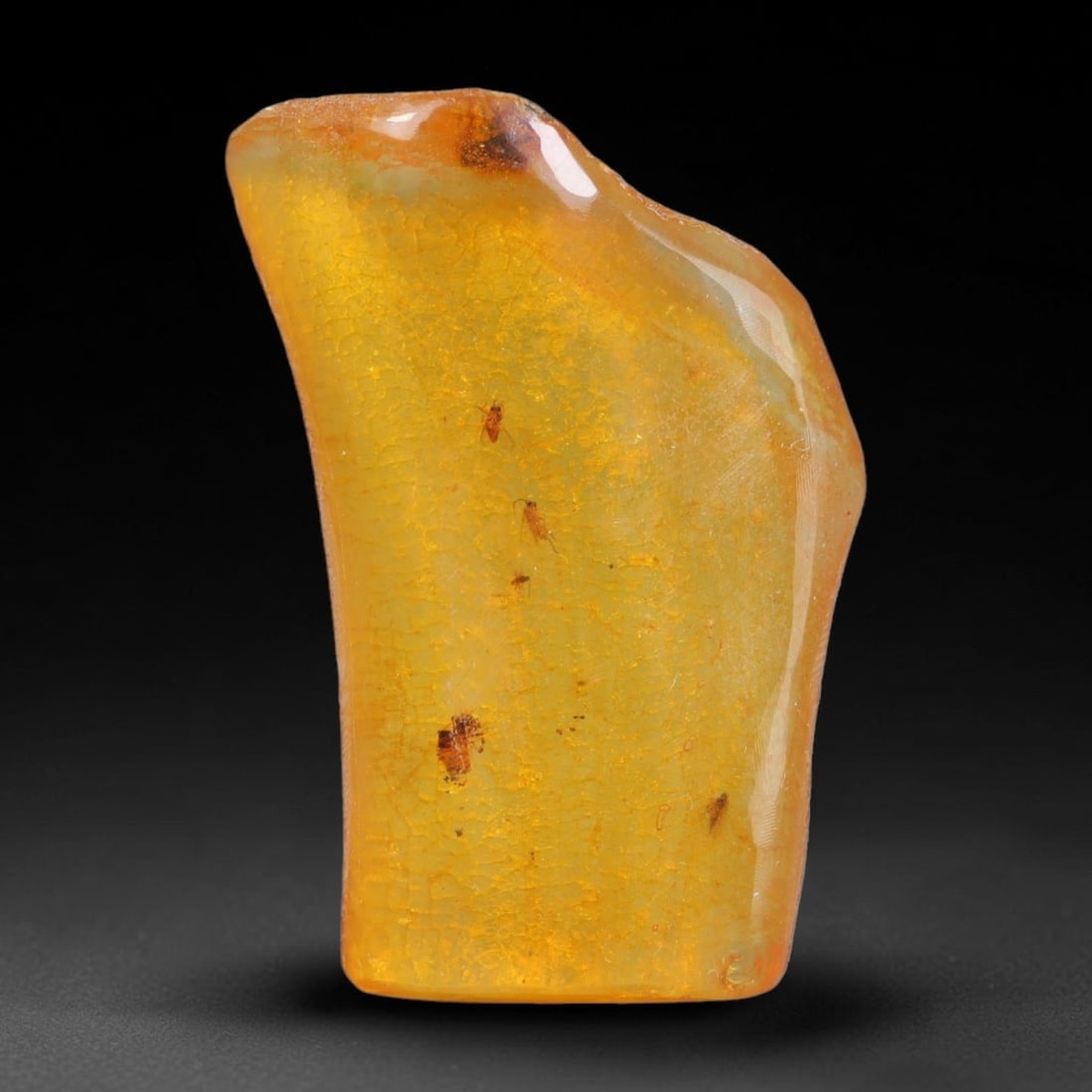 12.63ct Natural Baltic Polished Loose Freeform Amber Gemstone, 76AT: This smoothly polished freeform amber piece carries warm translucent organic clarity with fine natural fossil flecks and tiny mineral inclusions suspended throughout its 30x19mm flowing unstructured s
