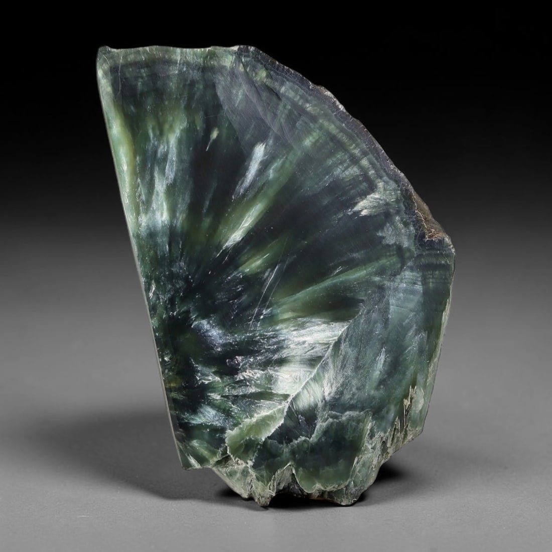 60ct Natural Siberian Seraphinite Polished Rough Slab, 27AR: This polished mineral slab is natural seraphinite originating from Siberian deposits, displaying characteristic radiating crystalline fibrous formations with layered deep forest and silvery green band