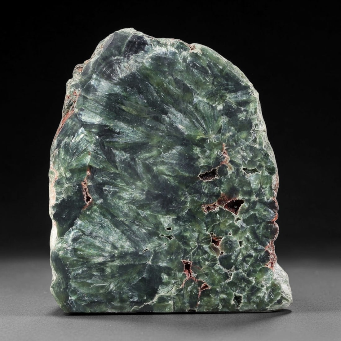 125ct Natural Siberian Seraphinite Polished Rough Slab, 28AR: This polished mineral slab is natural seraphinite originating from Siberian deposits, displaying characteristic radiating crystalline fibrous formations with layered deep forest and silvery green band