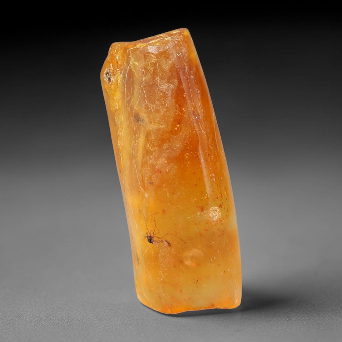 15.64ct Natural Baltic Polished Loose Freeform Amber Rough, 18EK (1 of 1)