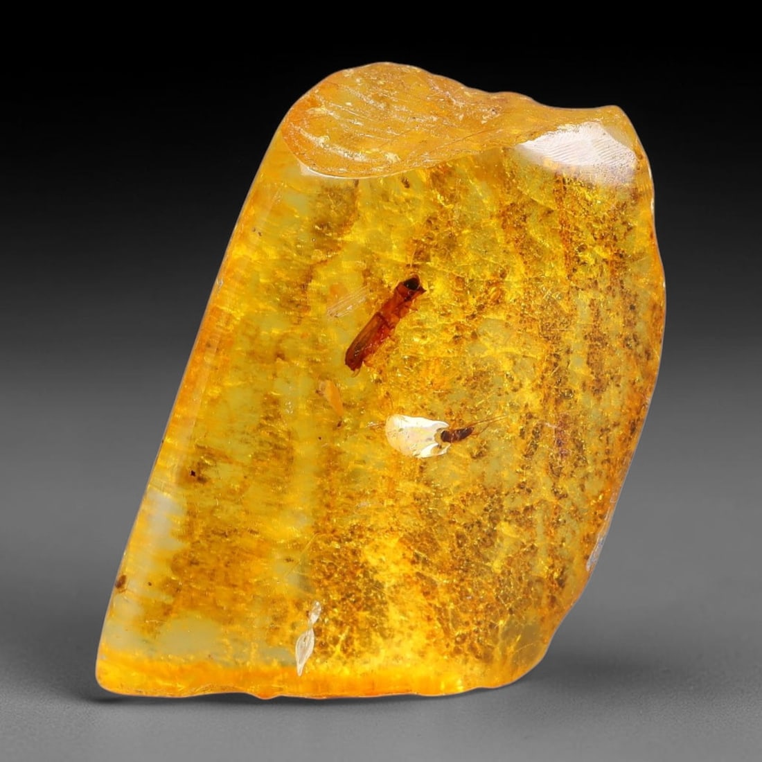 12.27ct Natural Baltic Polished Loose Freeform Amber Rough, 23EK: This smoothly polished freeform amber piece carries warm translucent organic clarity with fine natural fossil flecks and tiny mineral inclusions suspended throughout its 23x17x8mm flowing unstructured