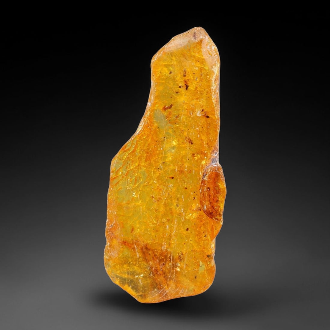 10.76ct Natural Baltic Polished Loose Freeform Amber Rough, 20EK: This smoothly polished freeform amber piece carries warm translucent organic clarity with fine natural fossil flecks and tiny mineral inclusions suspended throughout its 37x15x6mm flowing unstructured