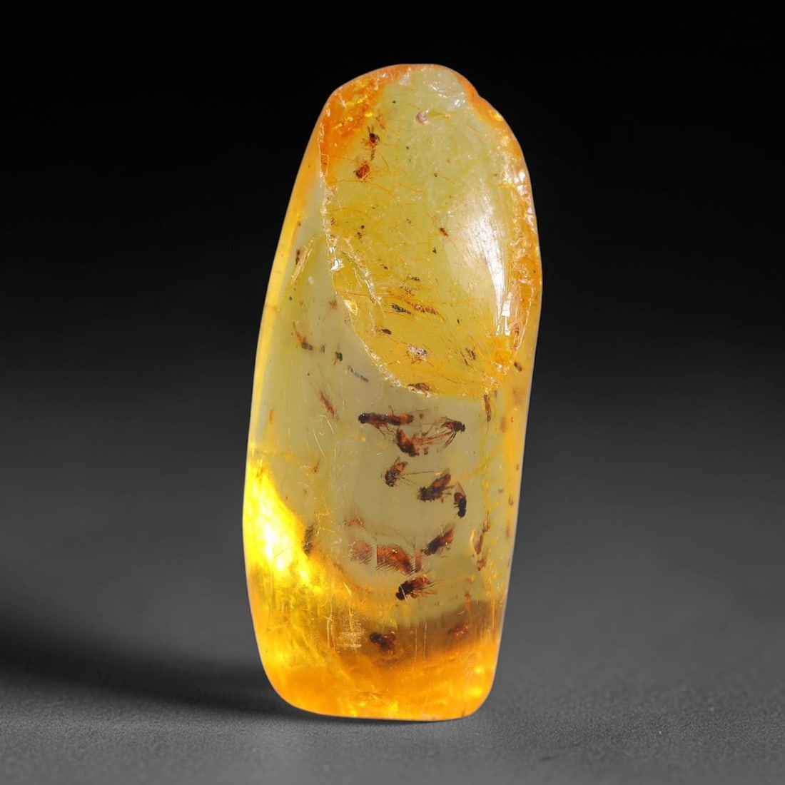 16.12ct Natural Baltic Polished Loose Freeform Amber Rough, 28EK: This smoothly polished freeform amber piece carries warm translucent organic clarity with fine natural fossil flecks and tiny mineral inclusions suspended throughout its 33x14x13mm flowing unstructure