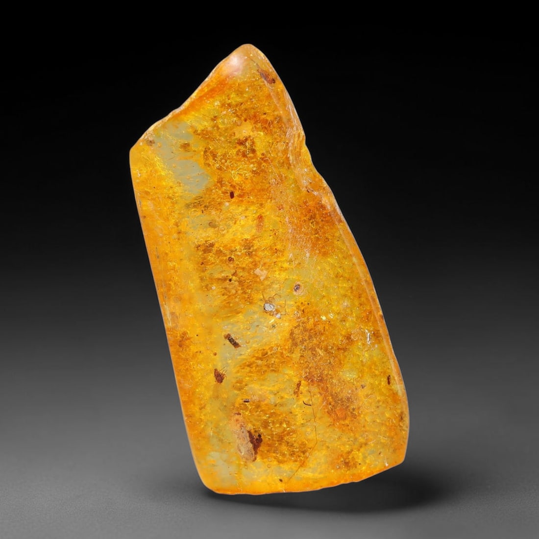 12.92ct Natural Baltic Polished Loose Freeform Amber Rough, 26EK: This smoothly polished freeform amber piece carries warm translucent organic clarity with fine natural fossil flecks and tiny mineral inclusions suspended throughout its 34x16x8mm flowing unstructured