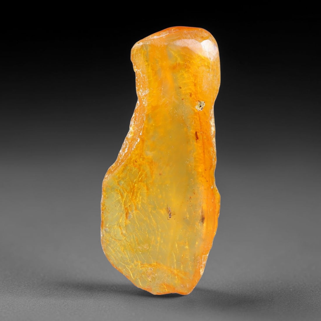 15.56ct Natural Baltic Polished Loose Freeform Amber Rough, 25EK: This smoothly polished freeform amber piece carries warm translucent organic clarity with fine natural fossil flecks and tiny mineral inclusions suspended throughout its 40x17x10mm flowing unstructure