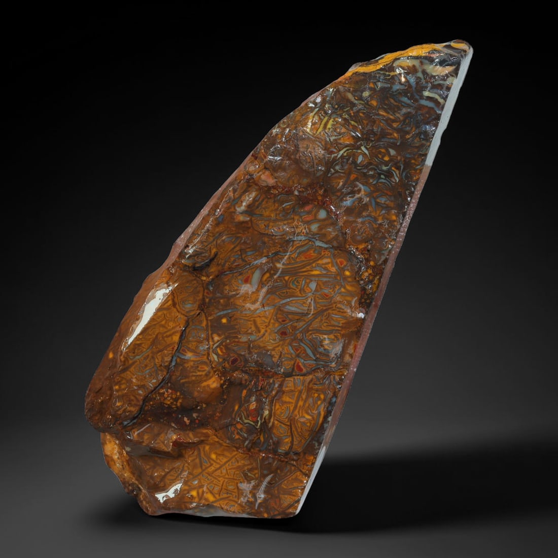 44.13ct Natural Australian Queensland Boulder Opal Sliced Slab Cutting Rough, 19AY: Natural sliced slab rough of Queensland boulder opal cutting grade, featuring rich color ironstone matrix with patterns. The face clearly reveals extensive opal veining and pocket formations running t