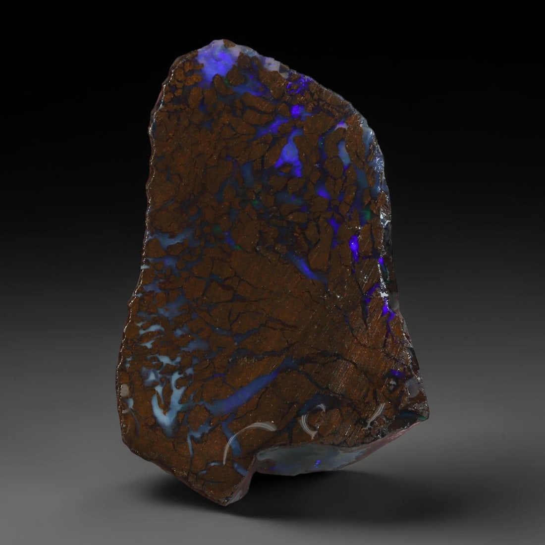 24.28ct Natural Australian Queensland Boulder Opal Sliced Slab Cutting Rough, 54AY: Natural sliced slab rough of Queensland boulder opal cutting grade, featuring rich color ironstone matrix with patterns. The face clearly reveals extensive opal veining and pocket formations running t