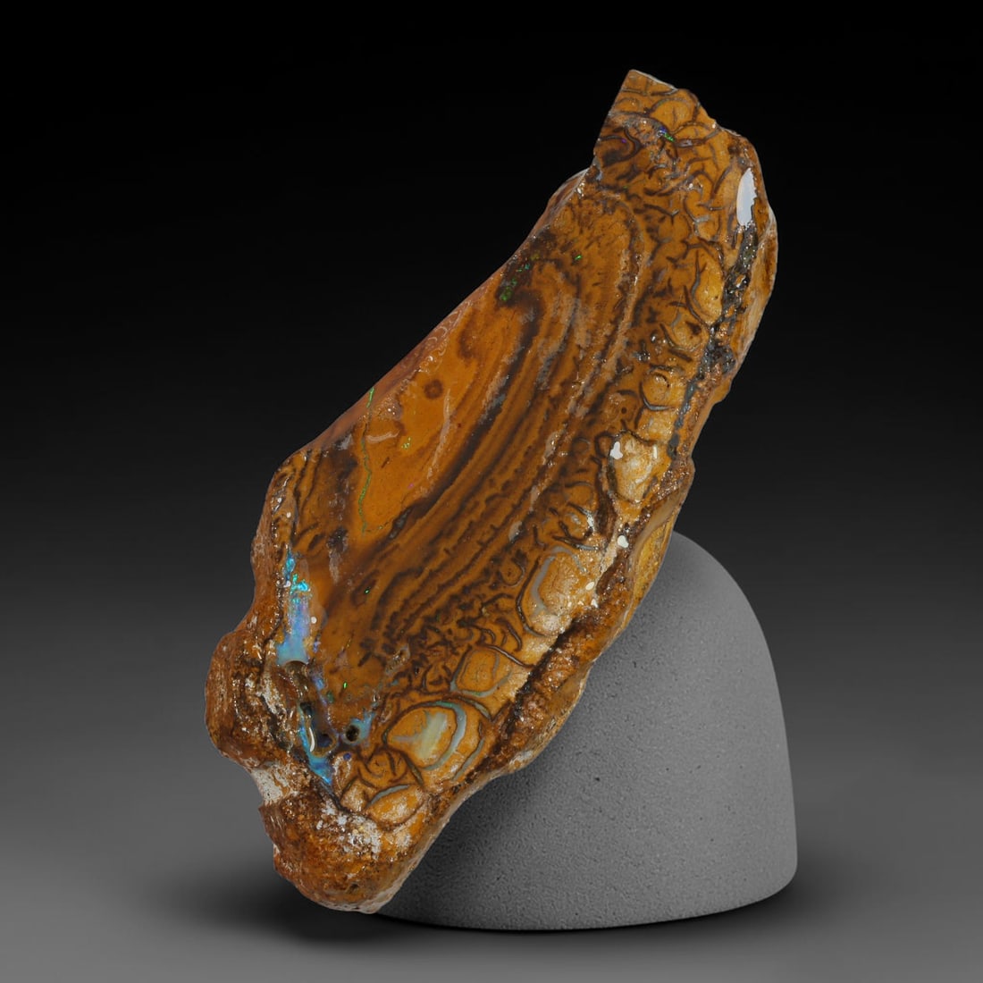 33.97ct Natural Australian Queensland Boulder Opal Sliced Slab Cutting Rough, 73AY: Natural sliced slab rough of Queensland boulder opal cutting grade, featuring rich color ironstone matrix with patterns. The face clearly reveals extensive opal veining and pocket formations running t