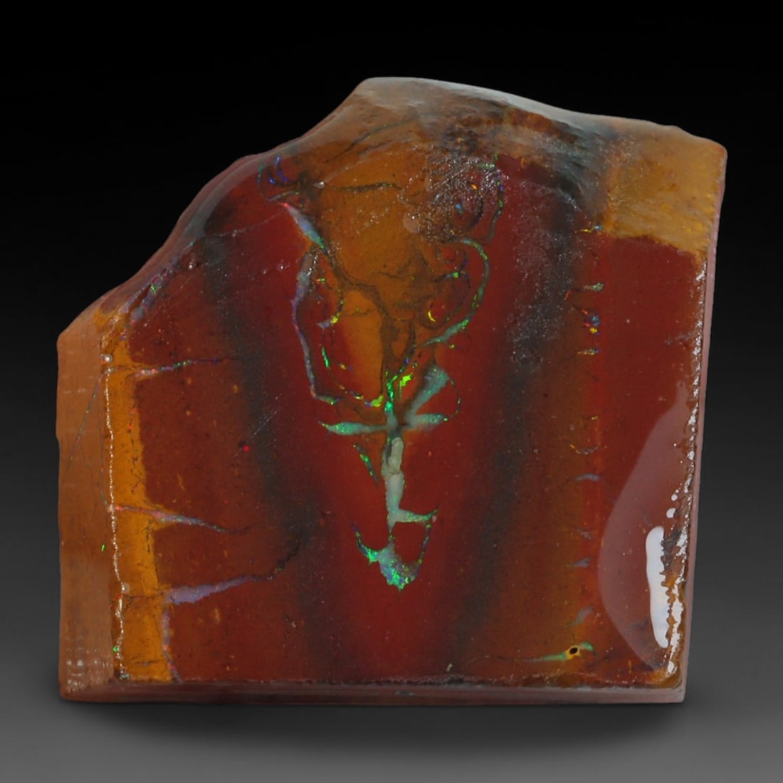27.75ct Natural Australian Queensland Boulder Opal Sliced Slab Cutting Rough, 58AY: Natural sliced slab rough of Queensland boulder opal cutting grade, featuring rich color ironstone matrix with patterns. The face clearly reveals extensive opal veining and pocket formations running t