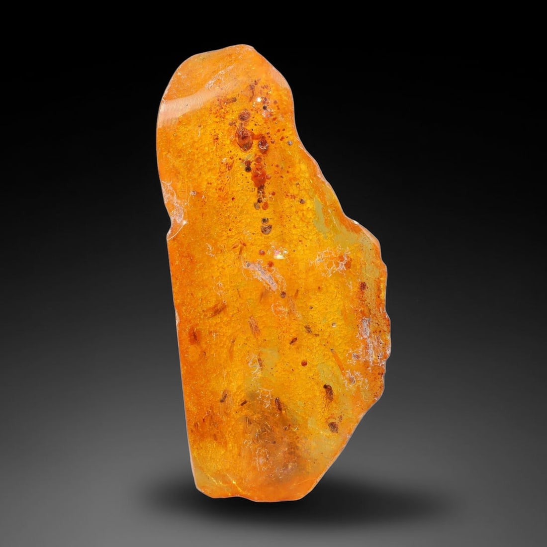 15ct Natural Baltic Polished Loose Freeform Amber Gemstone, 38EB: This smoothly polished freeform amber piece carries warm translucent organic clarity with fine natural fossil flecks and tiny mineral inclusions suspended throughout its 41x19mm flowing unstructured s