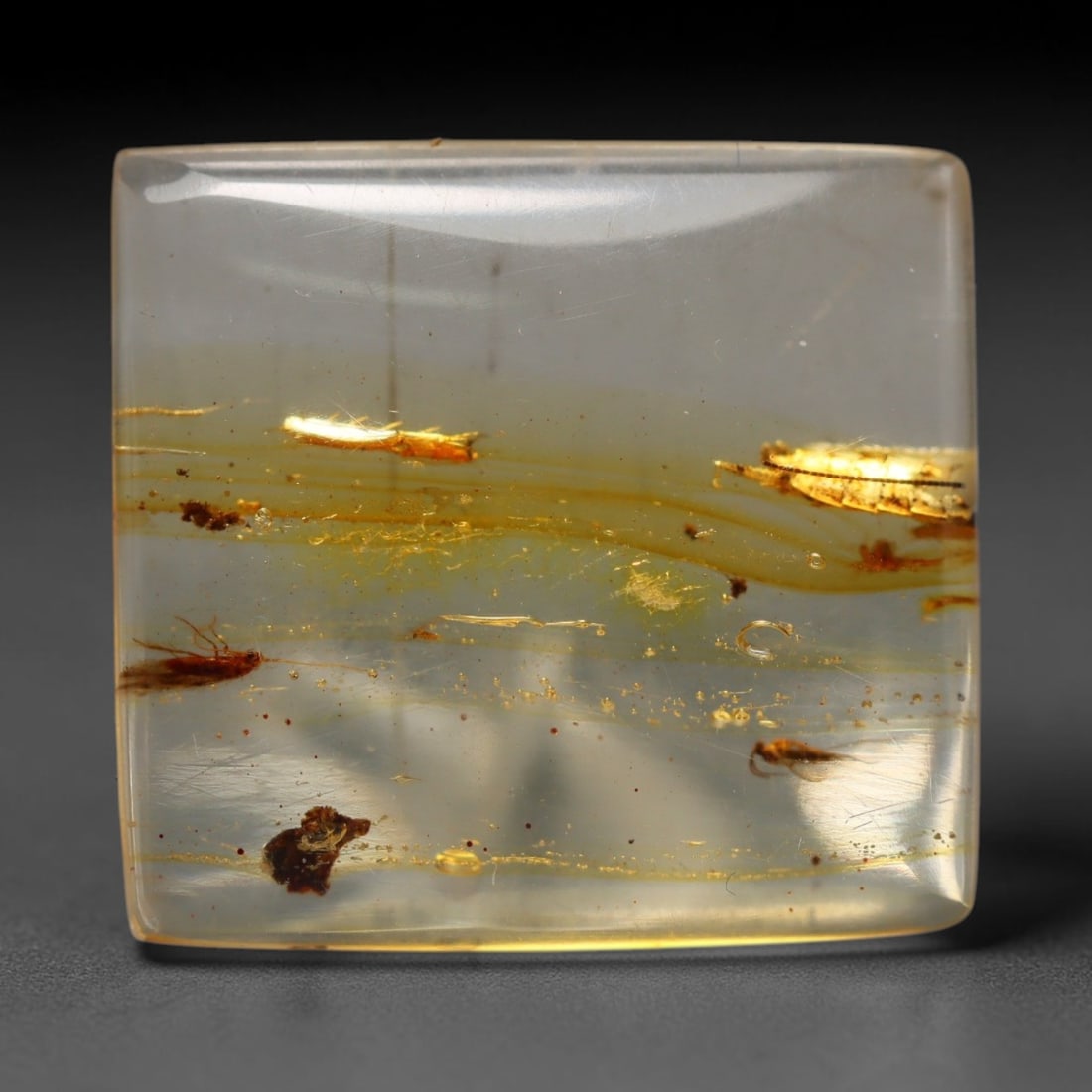 5.97ct Natural Baltic Amber Cabochon with Fossil Insect Inclusions Loose Gemstone, 69BY: This polished cabochon is genuine natural Baltic amber, featuring well-preserved fossilised ancient insect inclusions suspended within its warm golden-yellow resin matrix. Subtle organic plant debris 