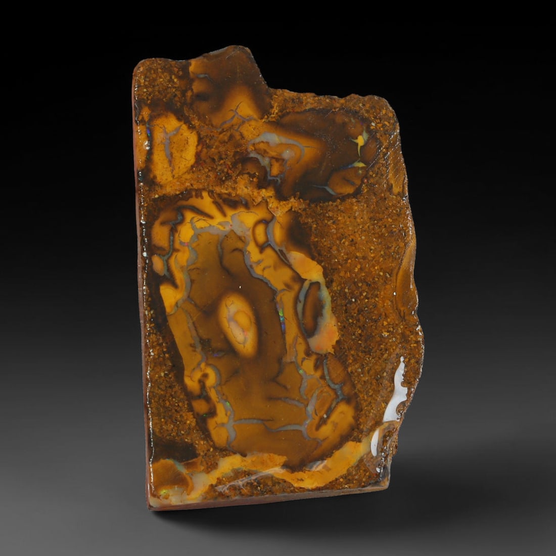 33.63ct Natural Australian Queensland Boulder Opal Sliced Slab Cutting Rough, 59AX: Natural sliced slab rough of Queensland boulder opal cutting grade, featuring rich color ironstone matrix with patterns. The face clearly reveals extensive opal veining and pocket formations running t