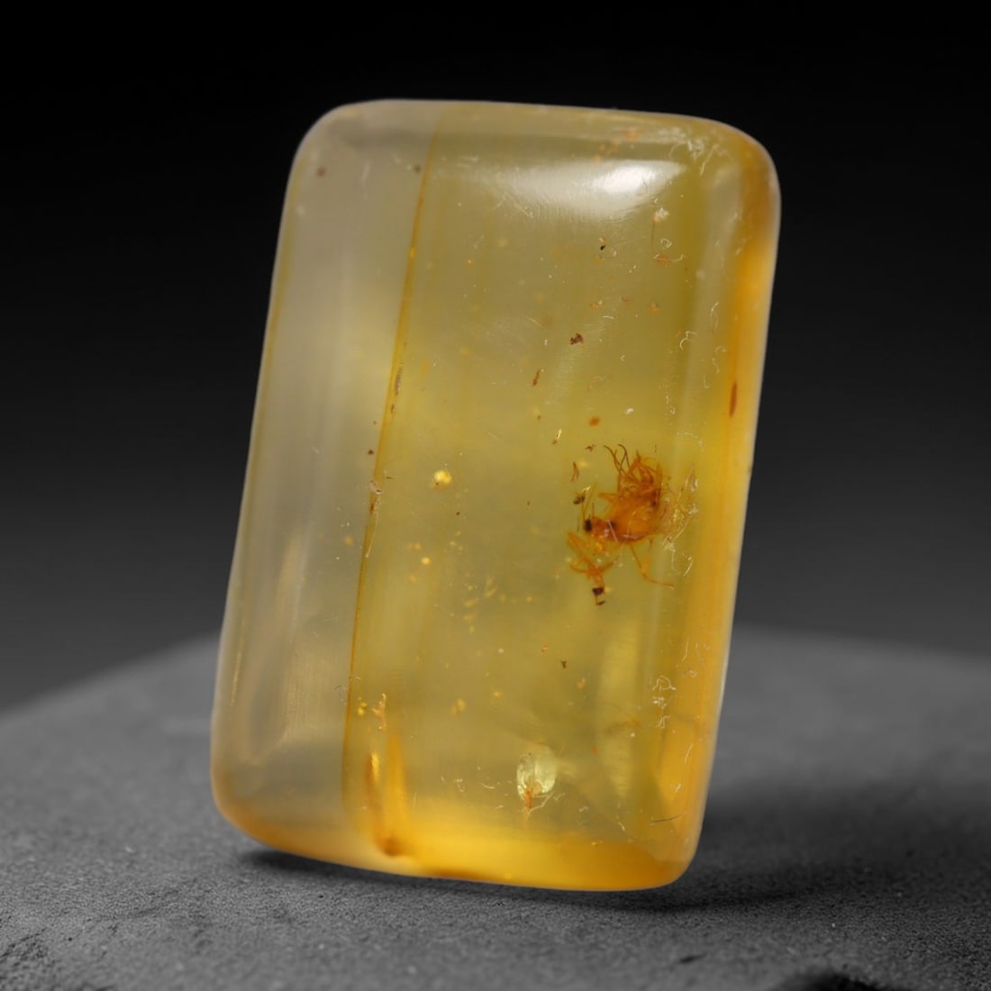 7.64ct Natural Baltic Amber Cabochon with Fossil Insect Inclusions Loose Gemstone, 33BY: This polished cabochon is genuine natural Baltic amber, featuring well-preserved fossilised ancient insect inclusions suspended within its warm golden-yellow resin matrix. Subtle organic plant debris 