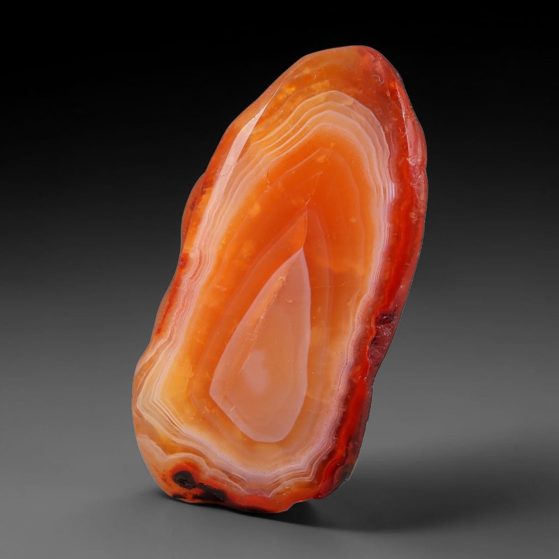 70ct Natural Brazilian Carnelian Banded Agate Sliced Rough Slab, 91FB: This polished slice specimen is natural carnelian banded agate sourced from Brazilian deposits, featuring concentric layered banding of rich orange, peach, and deep crimson-red chalcedony. One flat fa