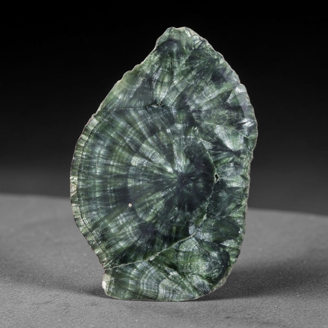 105ct Natural Siberian Seraphinite Polished Rough Slab, 25AR: This polished mineral slab is natural seraphinite originating from Siberian deposits, displaying characteristic radiating crystalline fibrous formations with layered deep forest and silvery green band