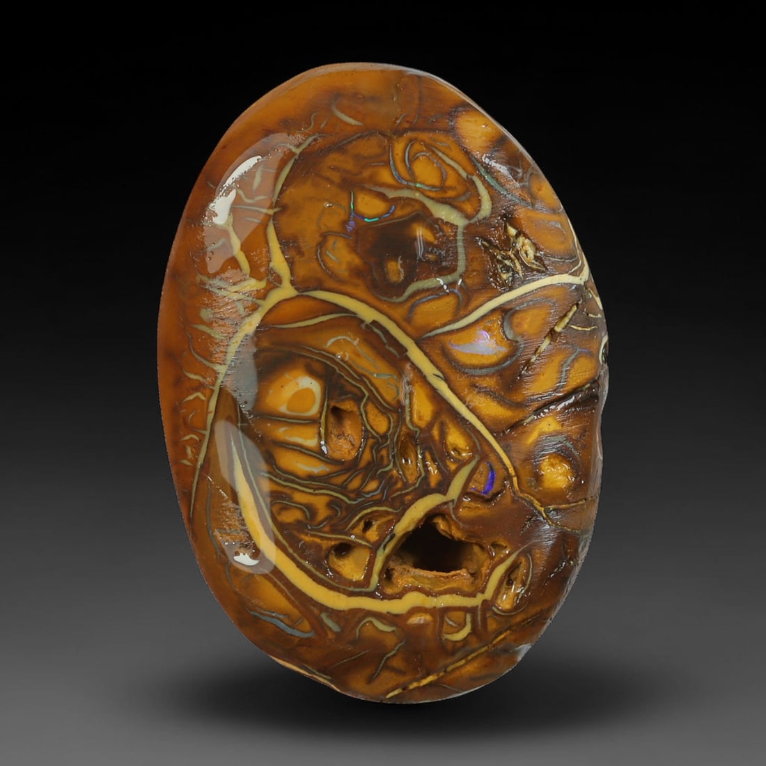 23.42ct Natural Australian Queensland Boulder Opal Sliced Slab Cutting Rough, 5AY: Natural sliced slab rough of Queensland boulder opal cutting grade, featuring rich color ironstone matrix with patterns. The face clearly reveals extensive opal veining and pocket formations running t