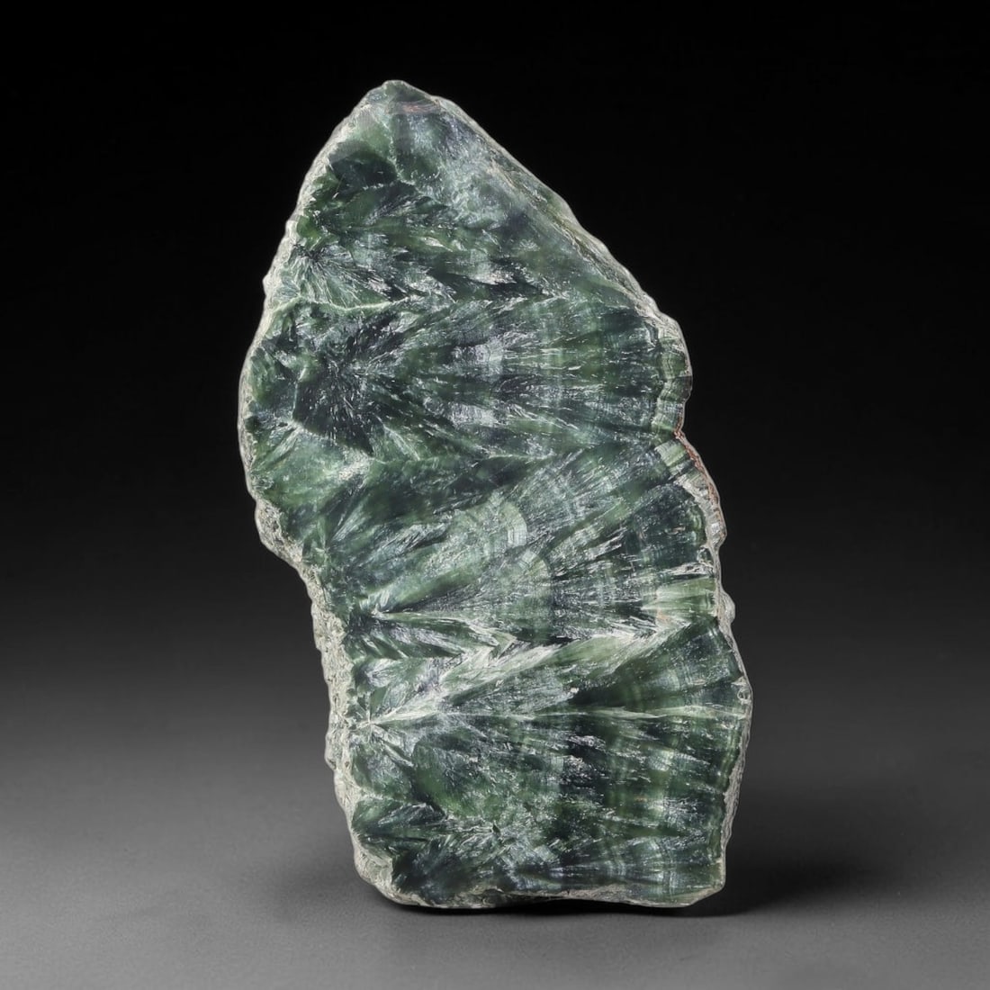 60ct Natural Siberian Seraphinite Polished Rough Slab, 55AR: This polished mineral slab is natural seraphinite originating from Siberian deposits, displaying characteristic radiating crystalline fibrous formations with layered deep forest and silvery green band