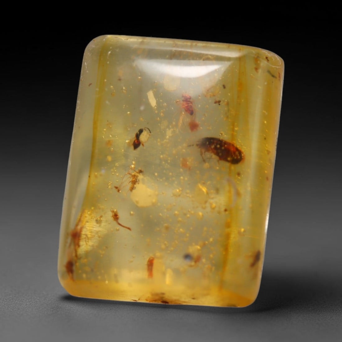 5.46ct Natural Baltic Amber Cabochon with Fossil Insect Inclusions Loose Gemstone, 47BY: This polished cabochon is genuine natural Baltic amber, featuring well-preserved fossilised ancient insect inclusions suspended within its warm golden-yellow resin matrix. Subtle organic plant debris 