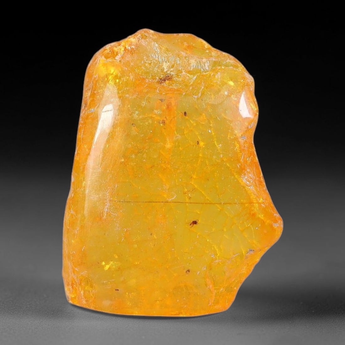 11.51ct Natural Baltic Polished Loose Freeform Amber Gemstone, 25EB: This smoothly polished freeform amber piece carries warm translucent organic clarity with fine natural fossil flecks and tiny mineral inclusions suspended throughout its 25x19mm flowing unstructured s