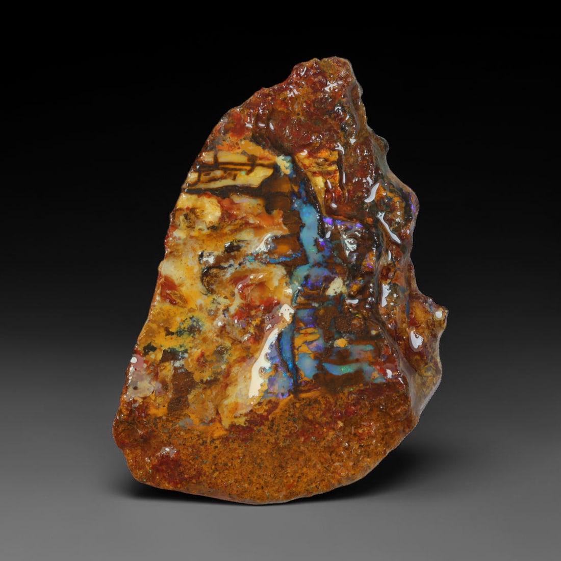 21.63ct Natural Australian Queensland Boulder Opal Sliced Slab Cutting Rough, 24AX: Natural sliced slab rough of Queensland boulder opal cutting grade, featuring rich color ironstone matrix with patterns. The face clearly reveals extensive opal veining and pocket formations running t