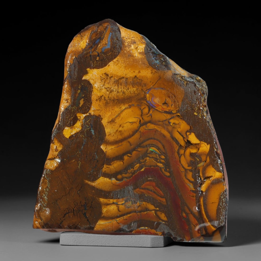 67.43ct Natural Australian Queensland Boulder Opal Sliced Slab Cutting Rough, 17AY: Natural sliced slab rough of Queensland boulder opal cutting grade, featuring rich color ironstone matrix with patterns. The face clearly reveals extensive opal veining and pocket formations running t