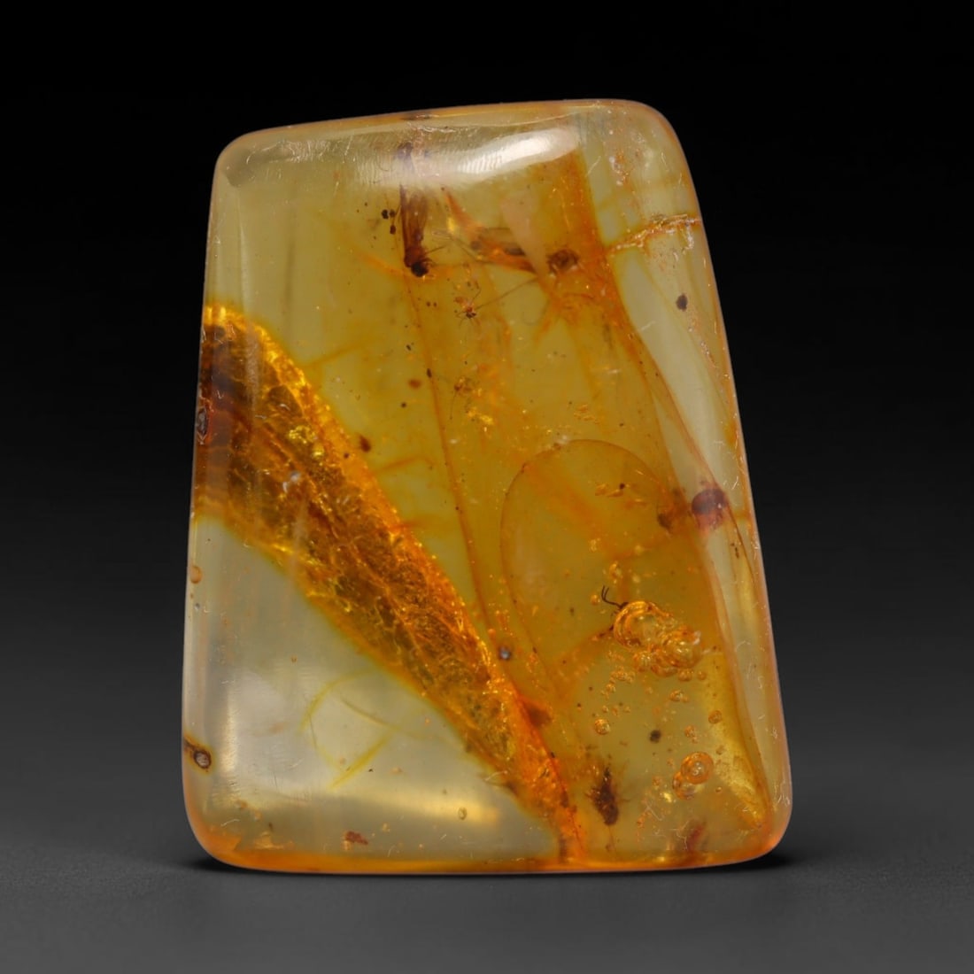 7.58ct Natural Baltic Amber Cabochon with Fossil Insect Inclusions Loose Gemstone, 34BY: This polished cabochon is genuine natural Baltic amber, featuring well-preserved fossilised ancient insect inclusions suspended within its warm golden-yellow resin matrix. Subtle organic plant debris 