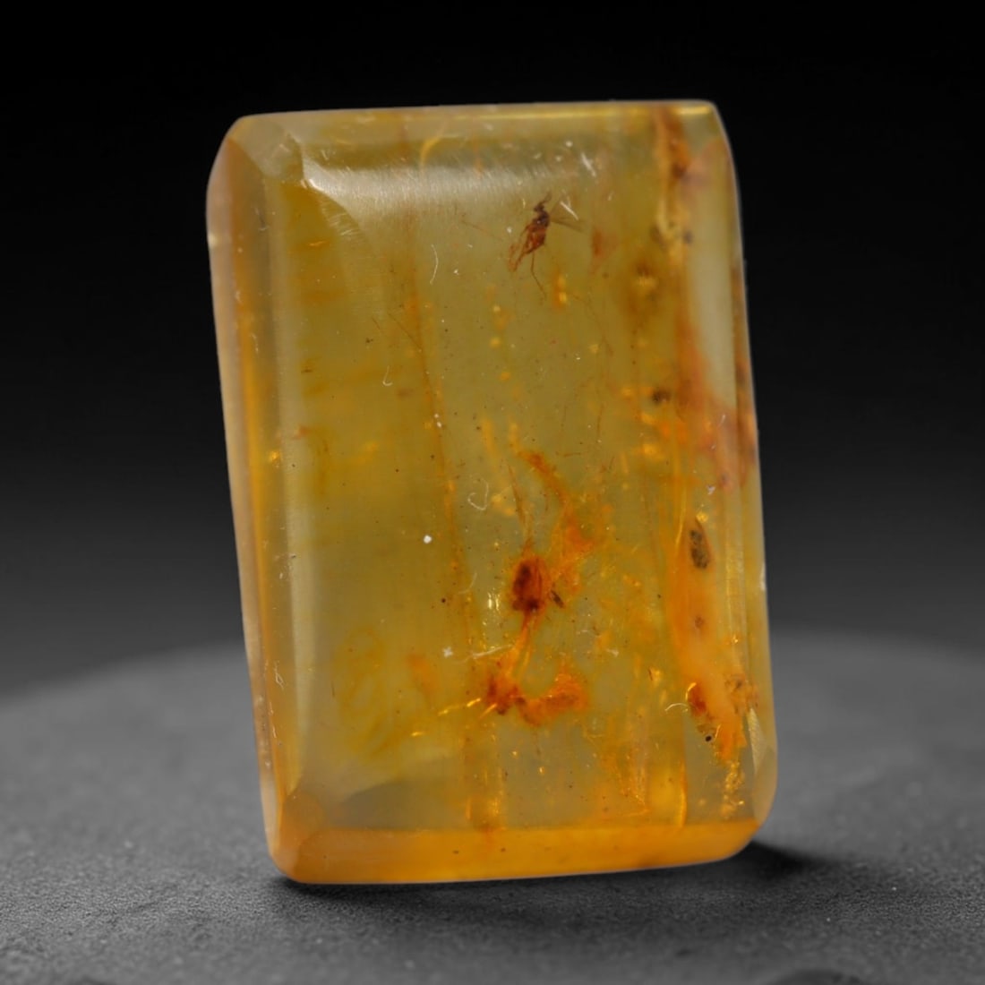 4.76ct Natural Baltic Amber Cabochon with Fossil Insect Inclusions Loose Gemstone, 18BY (1 of 1)