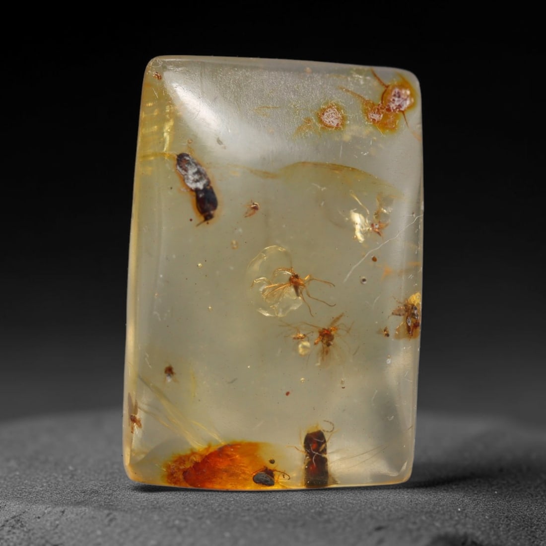6.18ct Natural Baltic Amber Cabochon with Fossil Insect Inclusions Loose Gemstone, 43BY: This polished cabochon is genuine natural Baltic amber, featuring well-preserved fossilised ancient insect inclusions suspended within its warm golden-yellow resin matrix. Subtle organic plant debris 