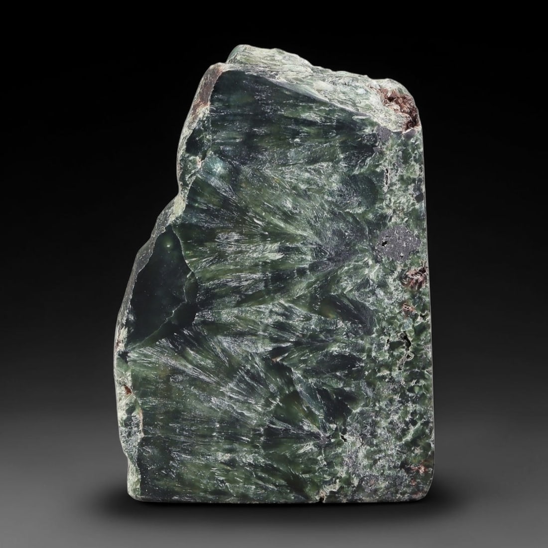 105ct Natural Siberian Seraphinite Polished Rough Slab, 51AR: This polished mineral slab is natural seraphinite originating from Siberian deposits, displaying characteristic radiating crystalline fibrous formations with layered deep forest and silvery green band