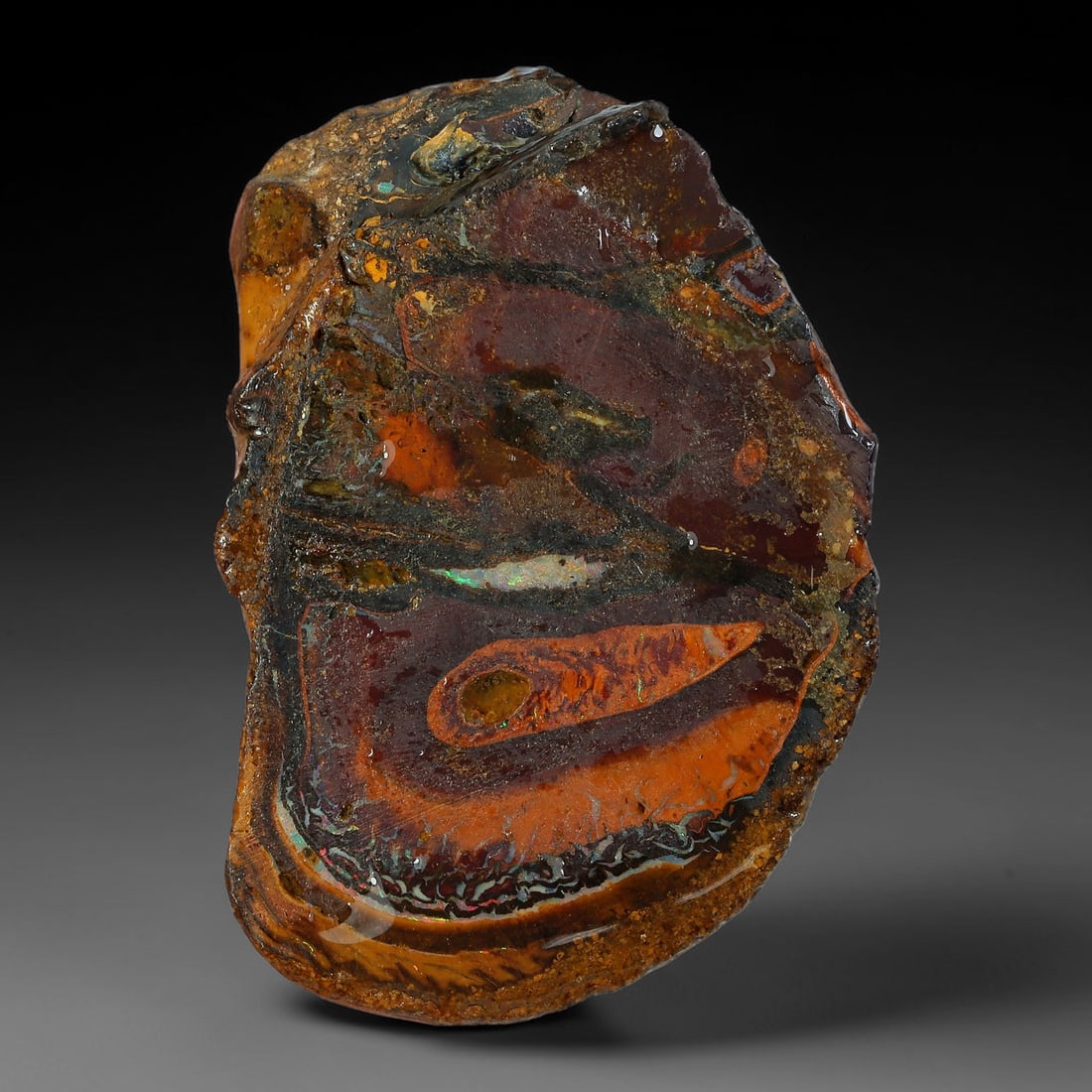 51.30ct Natural Australian Queensland Boulder Opal Sliced Slab Cutting Rough, 41AY: Natural sliced slab rough of Queensland boulder opal cutting grade, featuring rich color ironstone matrix with patterns. The face clearly reveals extensive opal veining and pocket formations running t