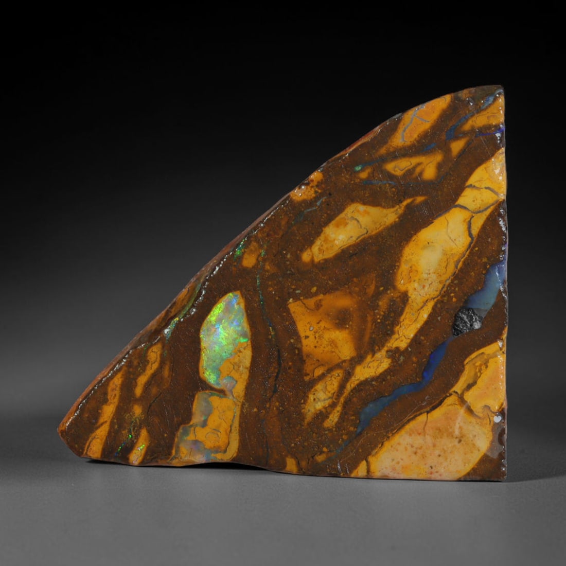 18.90ct Natural Australian Queensland Boulder Opal Sliced Slab Cutting Rough, 6AX: Natural sliced slab rough of Queensland boulder opal cutting grade, featuring rich color ironstone matrix with patterns. The face clearly reveals extensive opal veining and pocket formations running t