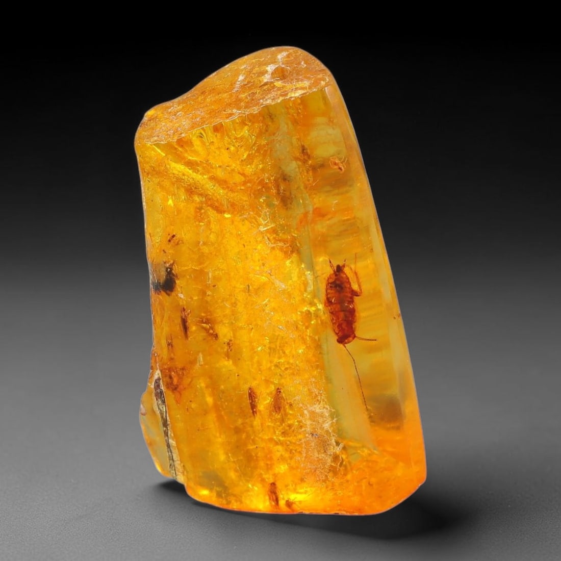 9.37ct Natural Baltic Polished Loose Freeform Amber Rough, 29EK: This smoothly polished freeform amber piece carries warm translucent organic clarity with fine natural fossil flecks and tiny mineral inclusions suspended throughout its 24x15x10mm flowing unstructure