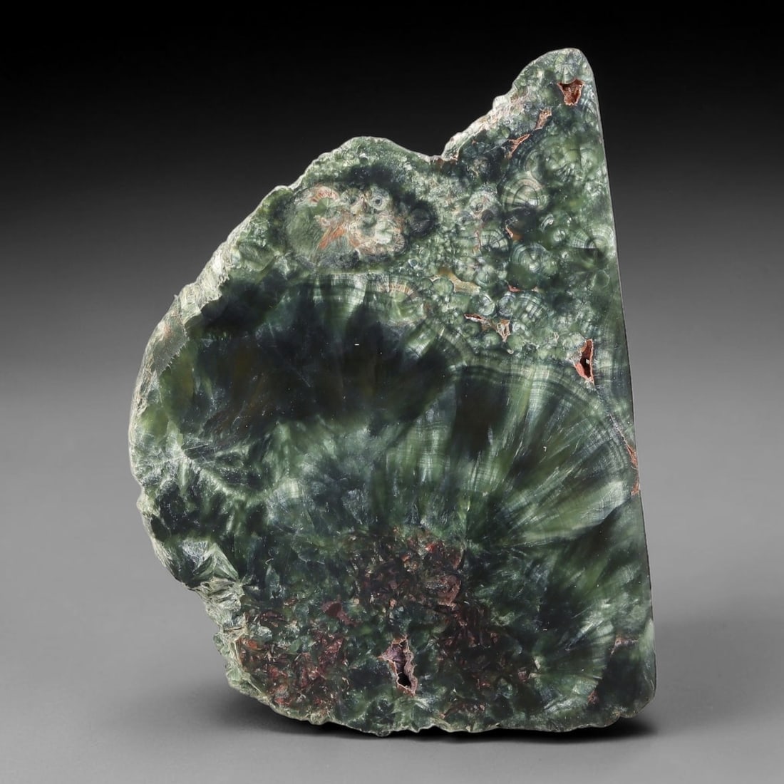 120ct Natural Siberian Seraphinite Polished Rough Slab, 72AR: This polished mineral slab is natural seraphinite originating from Siberian deposits, displaying characteristic radiating crystalline fibrous formations with layered deep forest and silvery green band