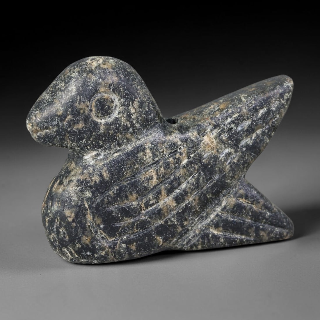 Ancient Near Eastern Mottled Dark Stone Bird Amulet (800-300 BCE), 38AB: Hand-carved dark speckled stone resting bird talisman, detailed with incised linear grooves marking layered wing plumage and a simple circular indent for the eye. A transverse perforation through the 