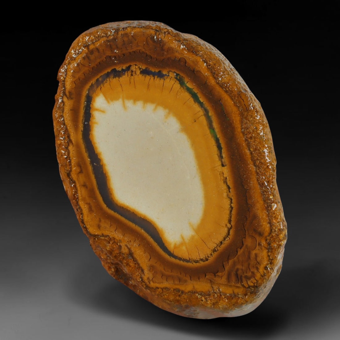 32.95ct Natural Australian Queensland Boulder Opal Sliced Slab Cutting Rough, 71AX: Natural sliced slab rough of Queensland boulder opal cutting grade, featuring rich color ironstone matrix with patterns. The face clearly reveals extensive opal veining and pocket formations running t