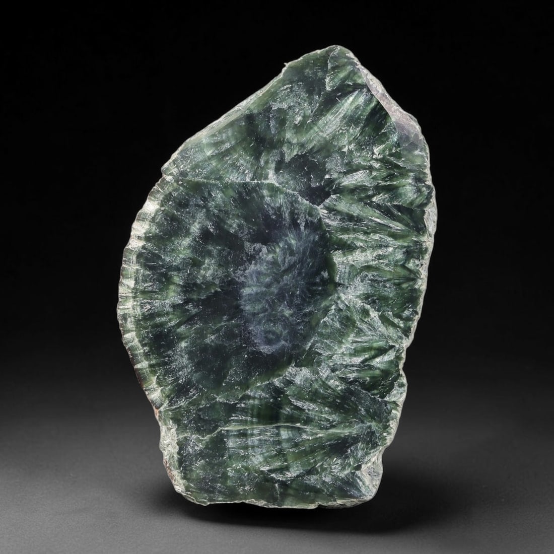 80ct Natural Siberian Seraphinite Polished Rough Slab, 44AR: This polished mineral slab is natural seraphinite originating from Siberian deposits, displaying characteristic radiating crystalline fibrous formations with layered deep forest and silvery green band