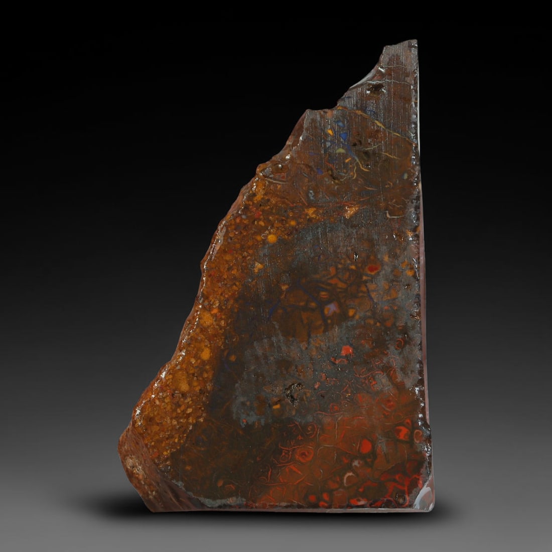 31.30ct Natural Australian Queensland Boulder Opal Sliced Slab Cutting Rough, 67AY: Natural sliced slab rough of Queensland boulder opal cutting grade, featuring rich color ironstone matrix with patterns. The face clearly reveals extensive opal veining and pocket formations running t