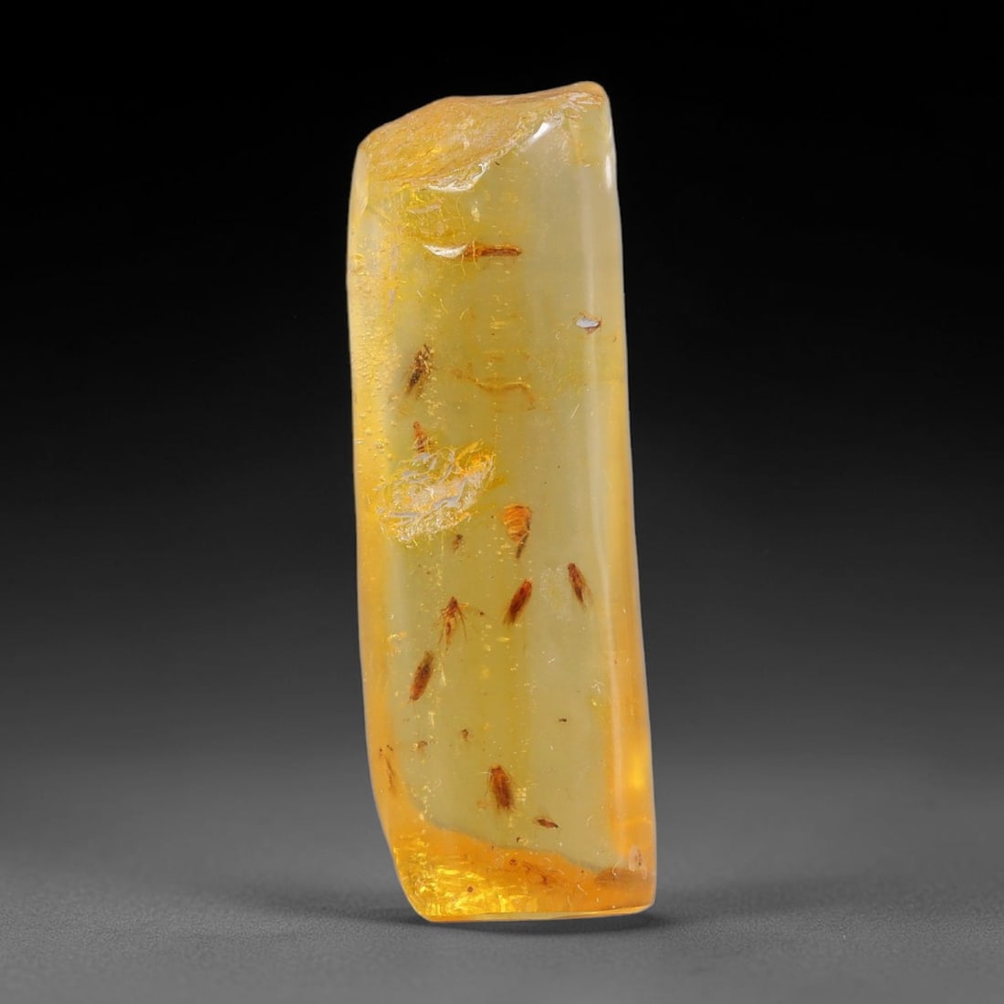 12.57ct Natural Baltic Polished Loose Freeform Amber Gemstone, 79FL: This smoothly polished freeform amber piece carries warm translucent organic clarity with fine natural fossil flecks and tiny mineral inclusions suspended throughout its 33x11x10mm flowing unstructure