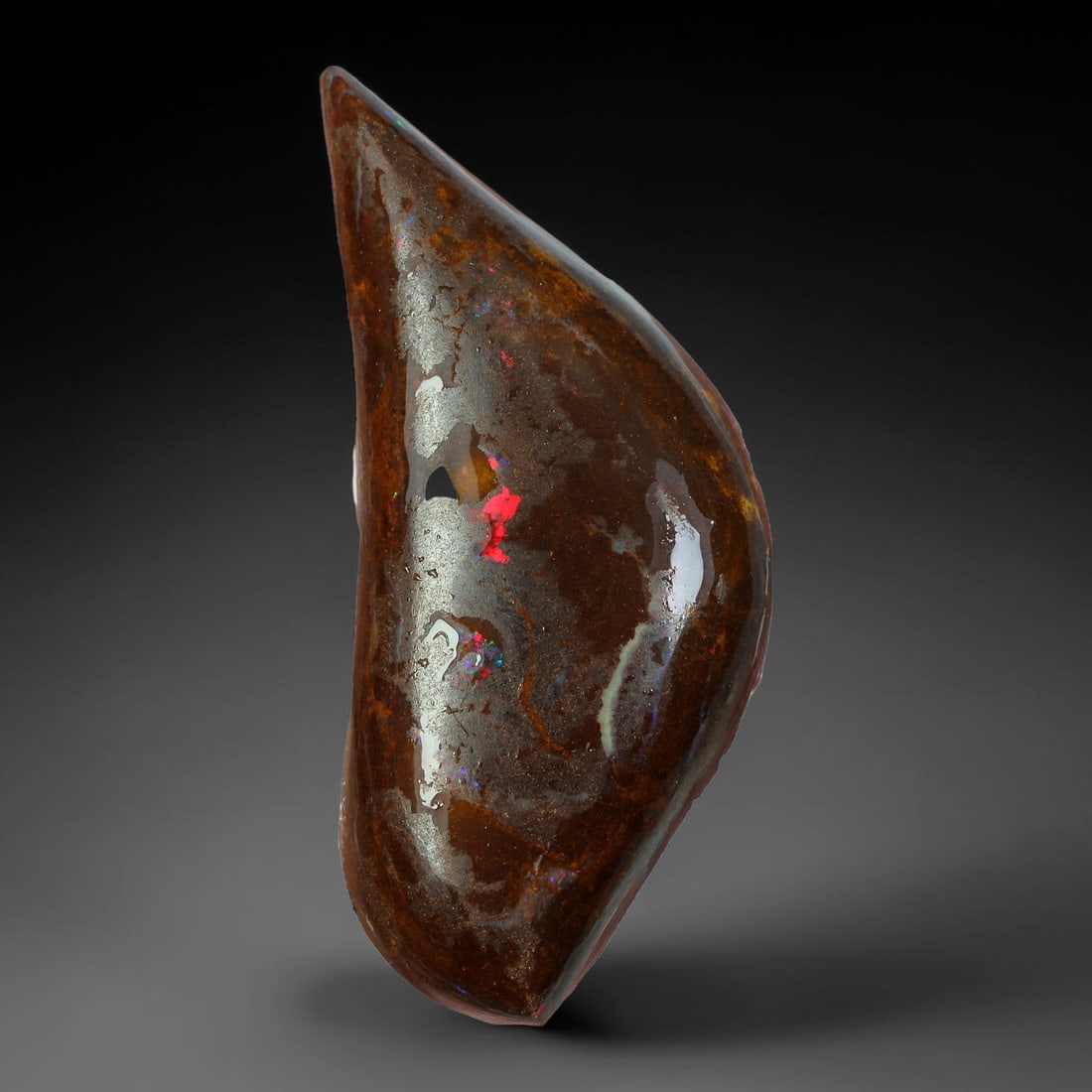 38.91ct Natural Australian Queensland Boulder Opal Sliced Slab Cutting Rough, 82AY: Natural sliced slab rough of Queensland boulder opal cutting grade, featuring rich color ironstone matrix with patterns. The face clearly reveals extensive opal veining and pocket formations running t