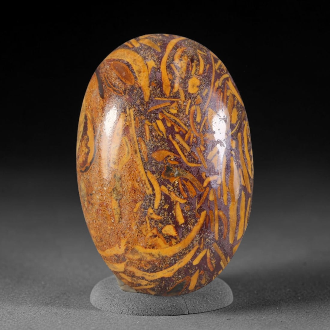14.21ct Natural Mariam Jasper (Calligraphy Stone) Cabochon Loose Gemstone, 11AK: This fully polished Mariam Jasper, widely referred to as Calligraphy Stone, features deep plum base matrix interlaced with intricate golden ochre fossilized mineral veining that creates natural brushs