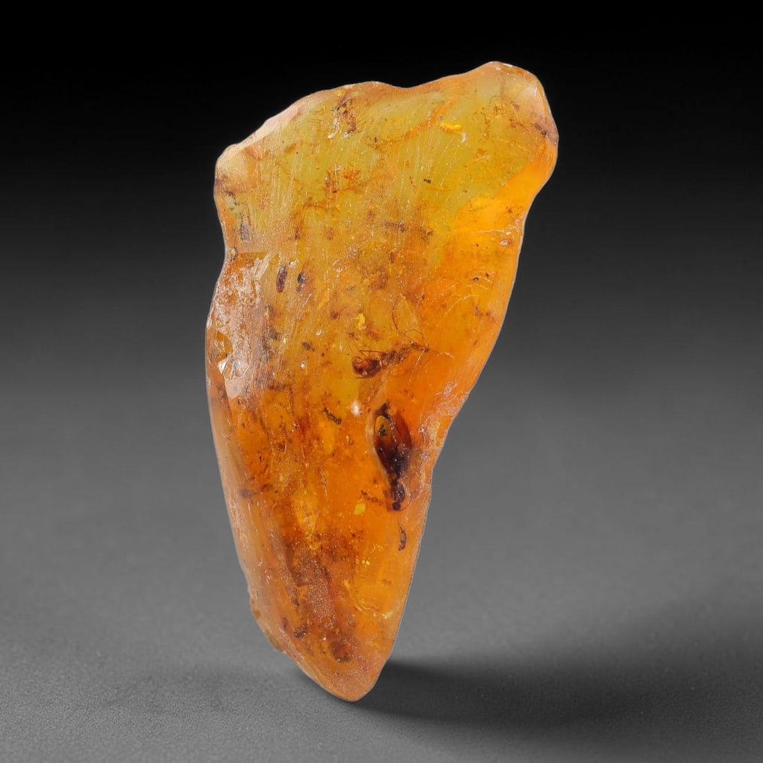 15ct Natural Baltic Polished Loose Freeform Amber Gemstone, 37EB: This smoothly polished freeform amber piece carries warm translucent organic clarity with fine natural fossil flecks and tiny mineral inclusions suspended throughout its 37x16mm flowing unstructured s