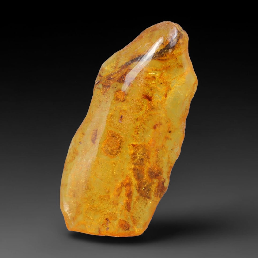 13.30ct Natural Baltic Polished Loose Freeform Amber Gemstone, 31AT: This smoothly polished freeform amber piece carries warm translucent organic clarity with fine natural fossil flecks and tiny mineral inclusions suspended throughout its 39x18mm flowing unstructured s