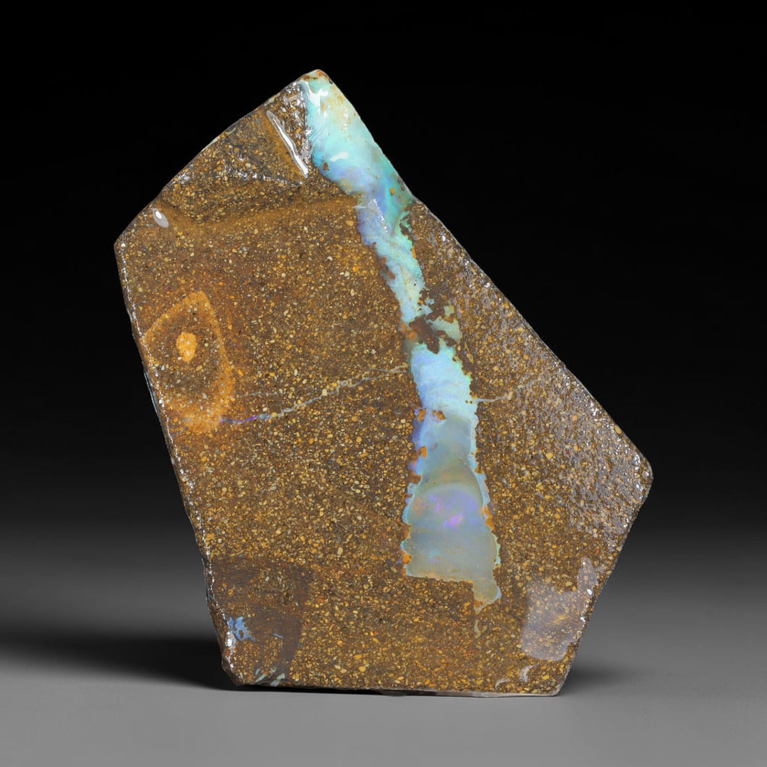 78.80ct Natural Australian Queensland Boulder Opal Sliced Slab Cutting Rough, 31AX: Natural sliced slab rough of Queensland boulder opal cutting grade, featuring rich color ironstone matrix with patterns. The face clearly reveals extensive opal veining and pocket formations running t