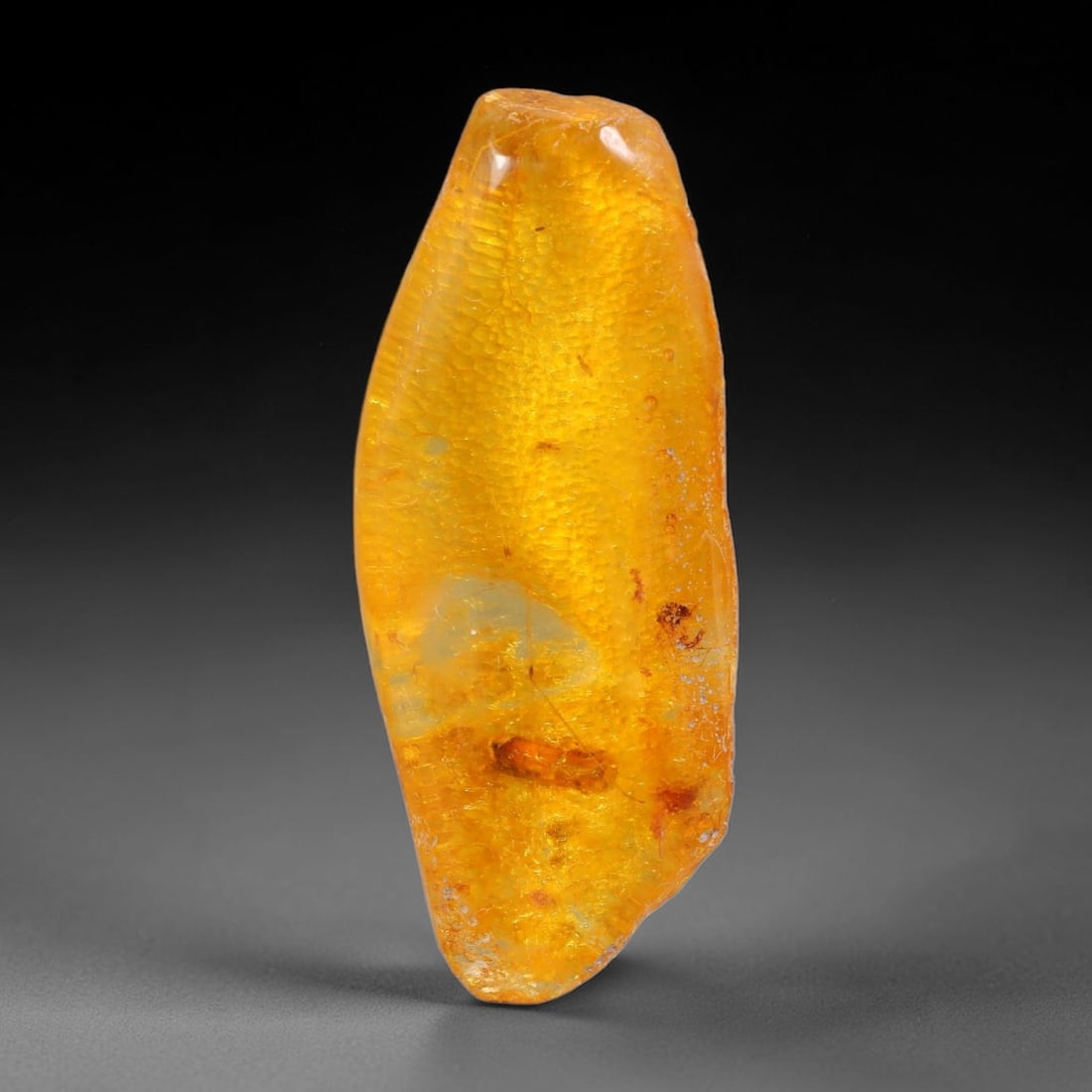 13.35ct Natural Baltic Polished Loose Freeform Amber Gemstone, 72FL: This smoothly polished freeform amber piece carries warm translucent organic clarity with fine natural fossil flecks and tiny mineral inclusions suspended throughout its 36x15x7mm flowing unstructured