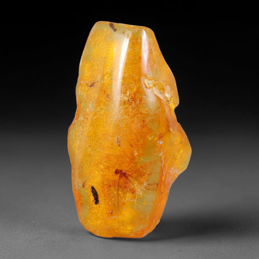 16.12ct Natural Baltic Polished Loose Freeform Amber Gemstone, 73FL: This smoothly polished freeform amber piece carries warm translucent organic clarity with fine natural fossil flecks and tiny mineral inclusions suspended throughout its 36x31x8mm flowing unstructured