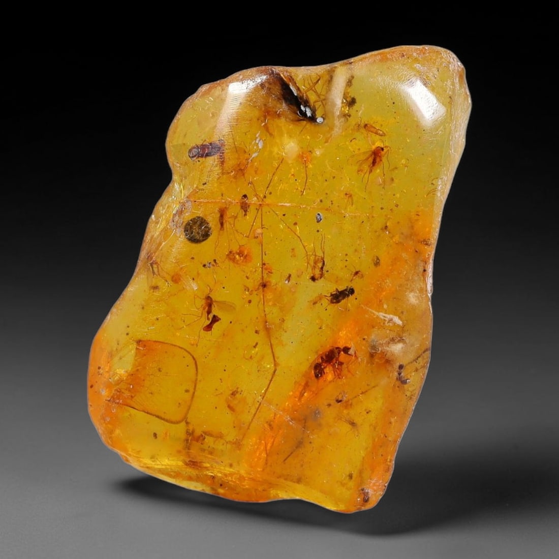 12.78ct Natural Baltic Polished Loose Freeform Amber Gemstone, 82FL: This smoothly polished freeform amber piece carries warm translucent organic clarity with fine natural fossil flecks and tiny mineral inclusions suspended throughout its 28x19x8mm flowing unstructured