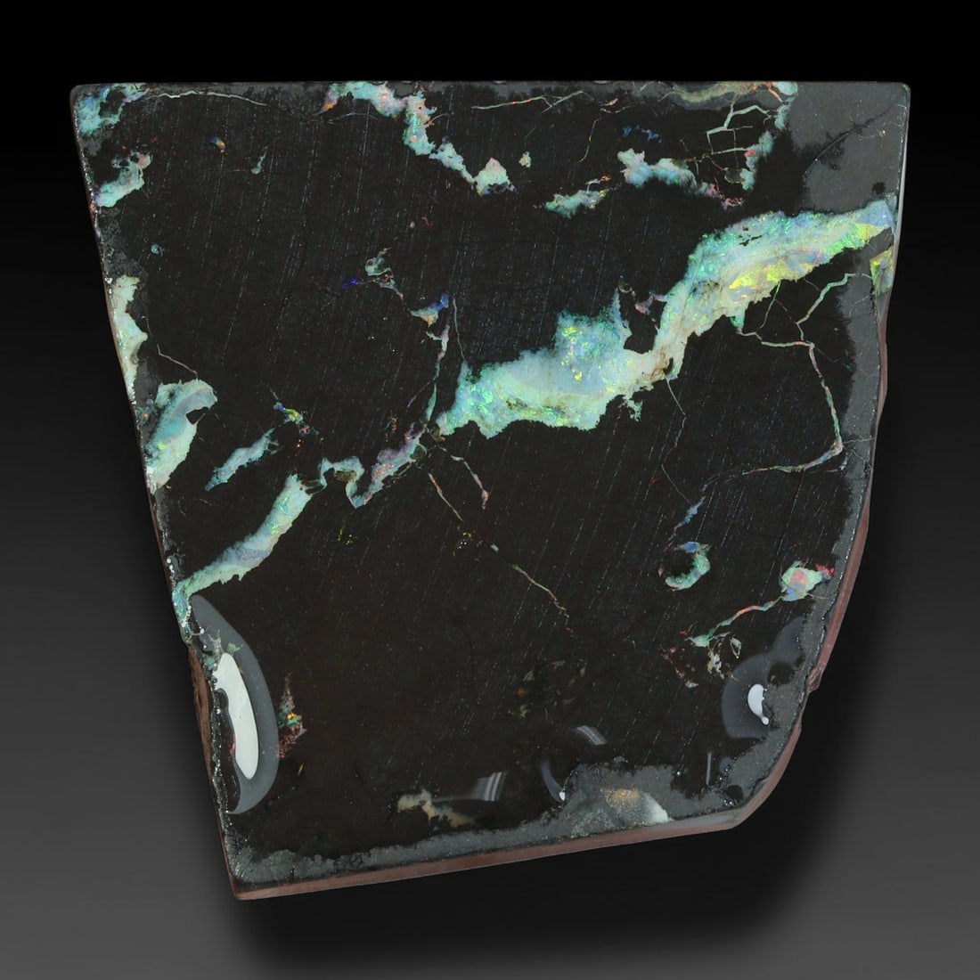 50.55ct Natural Australian Queensland Boulder Opal Sliced Slab Cutting Rough, 37AY: Natural sliced slab rough of Queensland boulder opal cutting grade, featuring rich color ironstone matrix with patterns. The face clearly reveals extensive opal veining and pocket formations running t